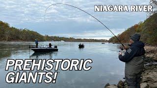 HUGE Lake Trout Everywhere. EPIC morning float fishing Lake Trout/ Niagara River Trout Fishing.