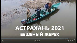 Рыбалка в Астрахани весной! Жерех Сазан Вобла Лещ . Апрель 2021