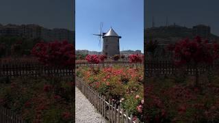 The Windmill at Altinkoy Open Air Museum. #windmill #altinkoy #ankara #türkiye #turkey #turkeytravel