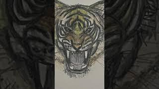 How to Draw a Tiger! #Shorts