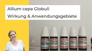 Das homöopathische Mittel Allium cepa: Leitsymptome und Anwendungsgebiete der Globuli