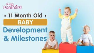 11 Month Old Baby : Development and Milestones