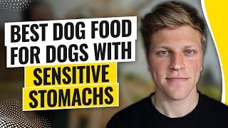 Best Dog Food for Dogs with Sensitive Stomachs (2025)