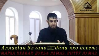 АЛЛАХ1АН ЭЛЧАНО ﷺ ДИНА КХО ВЕСЕТ.