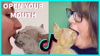 OPEN YOUR MOUTH AND SEE WHAT YOUR CAT DOES COMPILATION