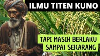 TANDA INI SERING DI CUEKIN PETANI , PADAHAL TANDA ALAM AKAN DATANGNYA HAMA PENYAKIT PADI