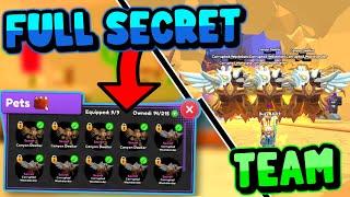 FULL TEAM OF THE BEST SECRET PETS!!!  | ROBLOX SWORD FIGHTERS SIMULATOR