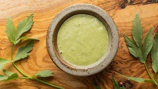 Lovage Sauce: The Greatest Condiment Ever?