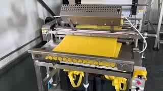 TECHTRON - Fully automatic beeswax foundation machine