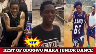 Best of Odogwu mara junior dance