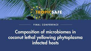 Assunta Bertaccini - Composition of microbiomes in coconut LY phytoplasma infected hosts