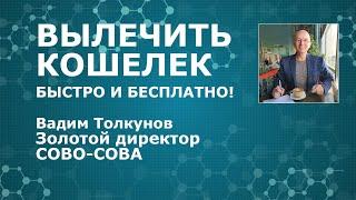 СОВО-СОВА. МАРКЕТИНГ В ДЕТАЛЯХ. Золотой Директор Вадим Толкунов