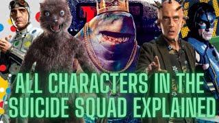 WHO’S WHO IN THE SUICIDE SQUAD? All DC Characters Explained! Obscure Villain Origins, Powers, & More