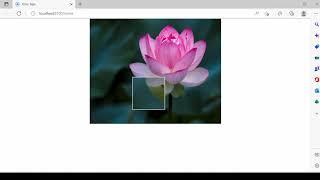 Ionic 6 Angular image magnifier