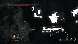 Dark Souls 2 Graphic and Texture bug