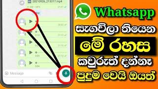 Top Whatsapp secret trick 2021 | whatsapp voice messages secret trick | Shark boy sl