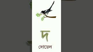 Bangla Alphabet (বাংলা বর্ণমালা) ব্যঞ্জনবর্ণ-ক খ  Bangla Bornomala banjonborno v.7