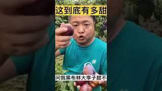 主播带货失败案例赏析，哈哈哈哈哈哈哈哈哈叽叽叽叽   1 主播带货失败案例赏析，哈哈哈哈哈哈哈哈哈叽叽叽叽Av842072924,P1