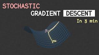 The Unreasonable Effectiveness of Stochastic Gradient Descent (in 3 minutes)