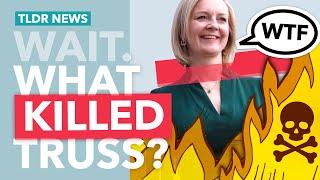 Liz Truss' Collapse: A Timeline of Chaos