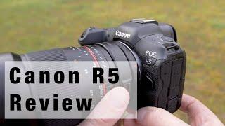 Canon R5 Review - Erfahrungen eines Naturfotografen