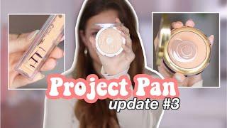 PROJECT PAN UPDATE: Using up 22 items in 2022!