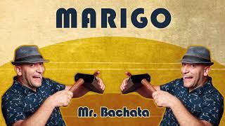 Mr. Bachata - Marigo (No no no salsa cover)