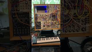 #synthesizer #dawless #eurorackmodular #modularsynth #electronicmusic