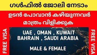 gulf job vacancy in malayalam|job vacancy in saudi arabia|uae jobs|dubai jobs|jobs in oman|my job