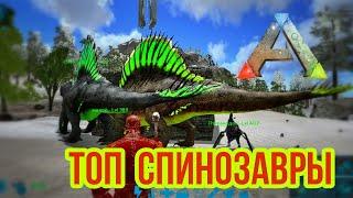 Выживаю СОЛО в ARK MOBILE | Rizvan PVX PVP