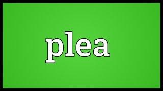 Plea Meaning