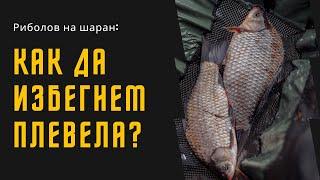 Риболов на шаран: Как да избегнем плевела?