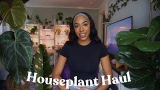 Houseplant HAUL | I Got New Plants  Home Depot & Briggs Nursery