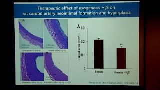 VTLSS: The Discovery and Physiological Importance of Hydrogen Sulfide with Dr. Rui Wang