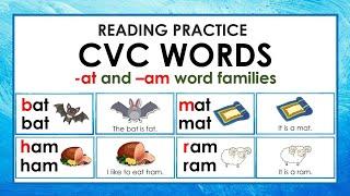 CVC Reading Practice | CVC Words | Short Vowel 'a' sound | CVC sentences | -at and -am