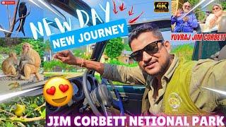 DHELA ZONE SAFARI APNE KHASS SUBSCRIBERS K SATH  #yuvrajjimcorbett