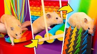 Cara Membuat Labirin Hamster Raksasa dari POP-IT!