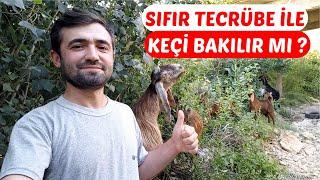 TECRÜBESİZ KEÇİ YETİŞTİRİCİLİĞİ YAPARAK PARA KAZANILIR MI ?