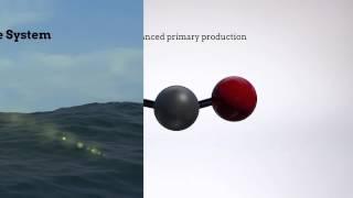 Temperature dependence of CO2-enhanced primary production in the European Arctic Ocean