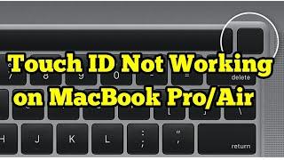 Touch ID Not Working on MacBook Pro/Air - macOS Ventura/Monterey/Big Sur (Fixed)