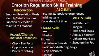 DBT Peer Connections   Ep 4a – Emotion Regulation Skills Introduction