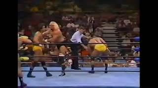 Pretty Wonderful (Paul Orndorff Paul Roma) vs. Kevin Sullivan Dave Sullivan - 8/16/1994 - WCW