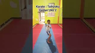 Karate | Kata Taikyoku Gedan Uke 2 | Kata 1 pertandingan Gojukai