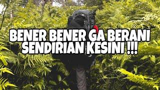 WARNING️ JANGAN KE GUNUNG INI SENDIRIAN!!! - GUNUNG TAMBORA #1