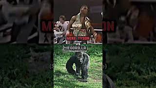 Mike Tyson vs Silverback Gorilla