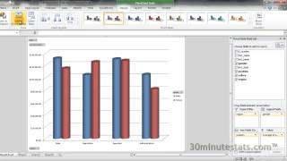 Excel 2010 - Creating Pivot Charts