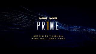 Evolución /// LÍNEA PRIME [español]