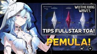 TIPS FULL-STAR TOA UNTUK PEMULA!! SEPUH JANGAN NONTON! | WUTHERING WAVES INDONESIA