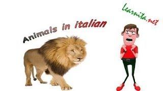 Animals in italian - Names of animals in italian