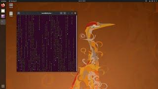 Matrix in Linux terminal